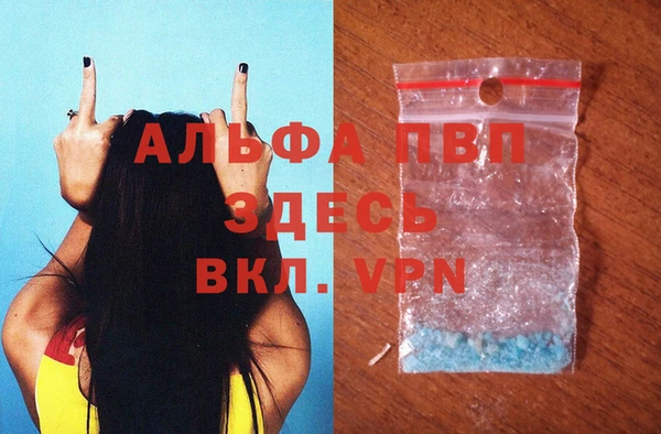 mix Инта