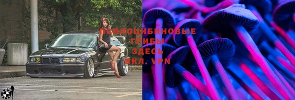 mix Инта