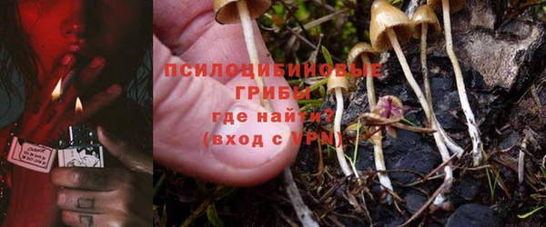 mix Инта