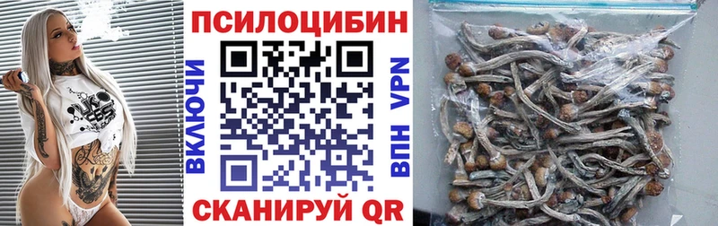 Галлюциногенные грибы прущие грибы  Купить  Жиздра 