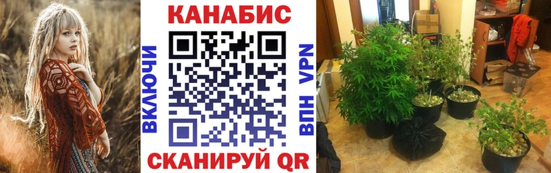 Купить где  Жиздра  Конопля SATIVA & INDICA 